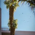 Two-Bedroom Apartment in Livadia, Larnaca — Larnaca, Livadia (13)