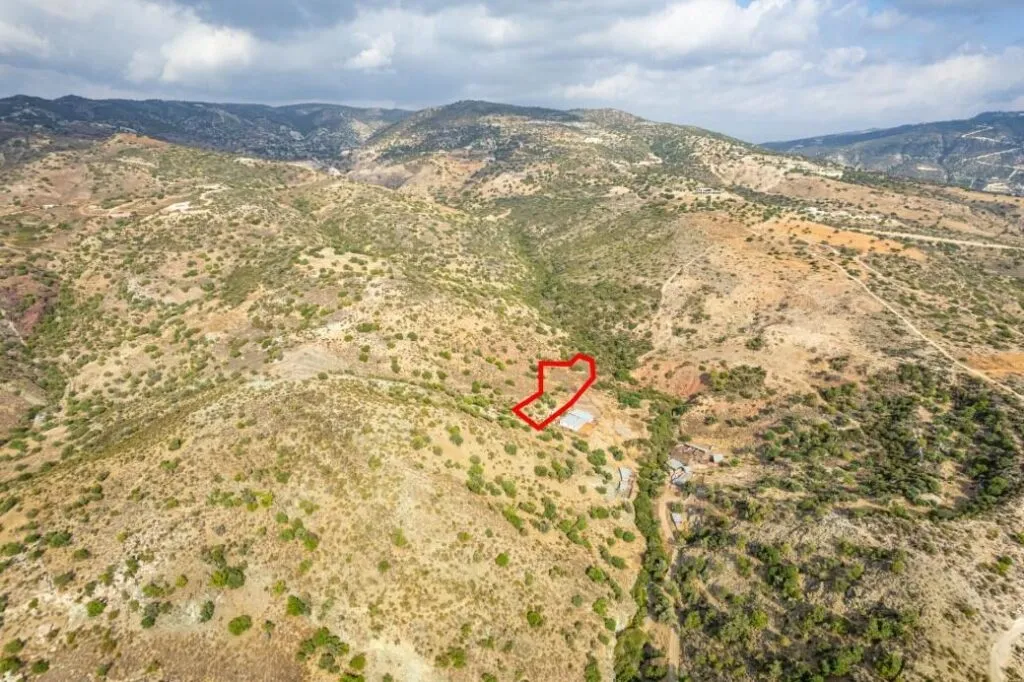 Agricultural field in Pegeia, Paphos — photo 2