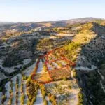 Three agricultural fields in Amargeti, Paphos — Paphos, Amargeti