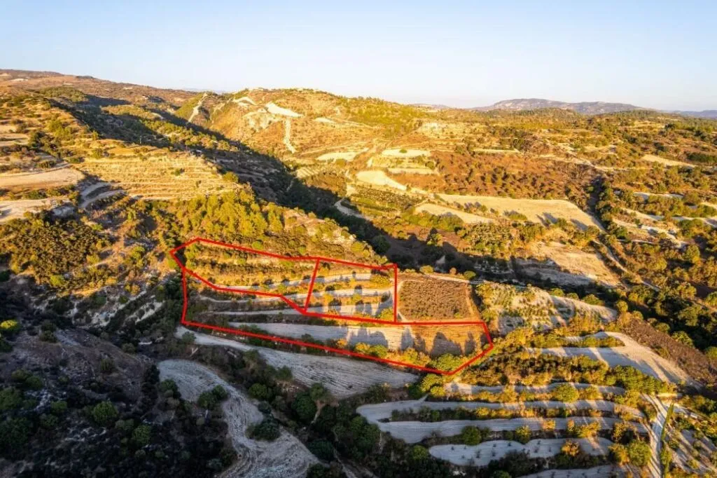 Three agricultural fields in Amargeti, Paphos — photo 2