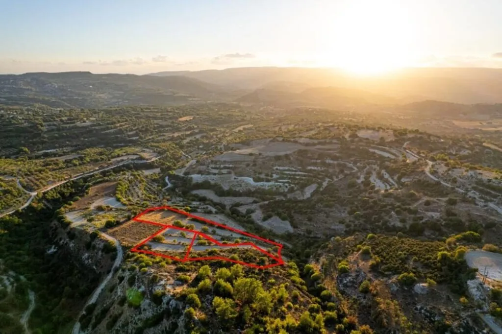 Three agricultural fields in Amargeti, Paphos — photo 4