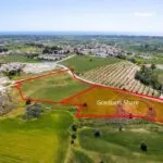 Shared residential field in Anafotida, Larnaca — Larnaca, Anafotida (2)