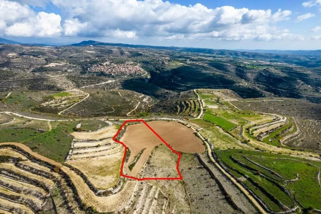 Field in Arsos, Limassol — photo 4