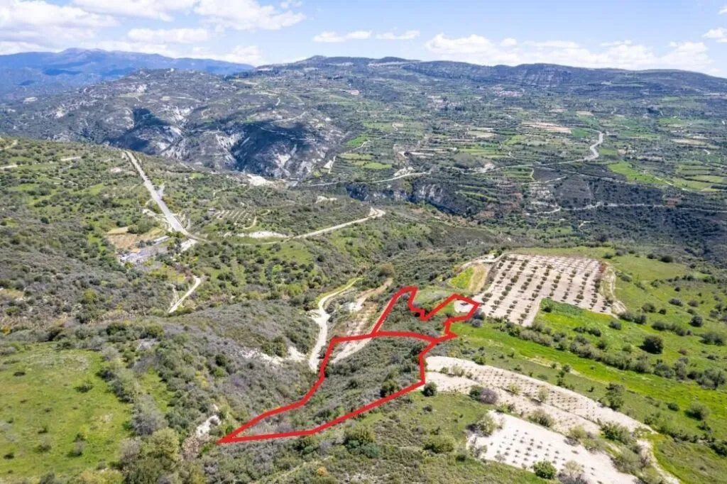 Shared agricultural fields in Arminou, Paphos — photo 3