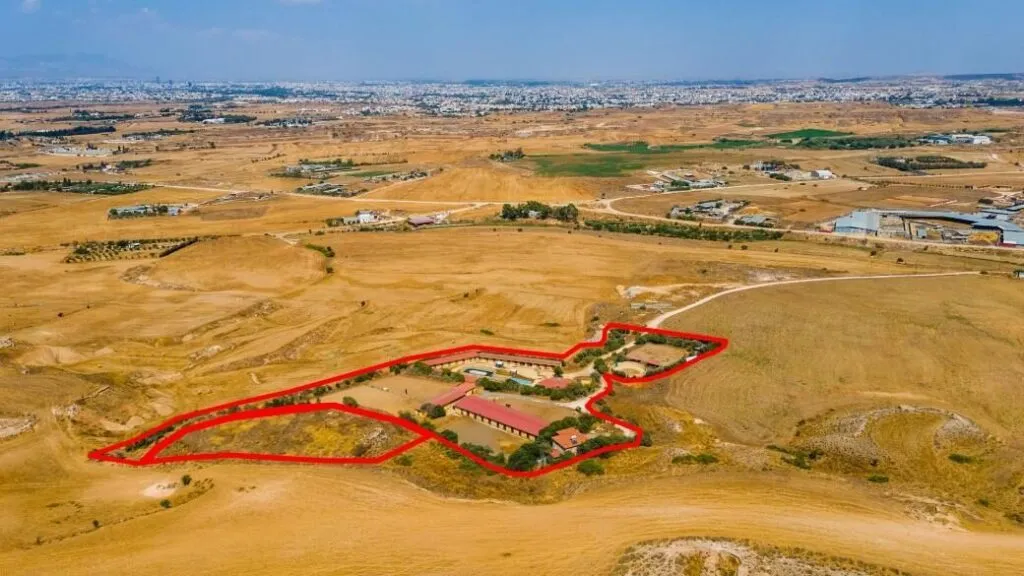 Fields with a horse farm in Pano Deftera, Nicosia — photo 4