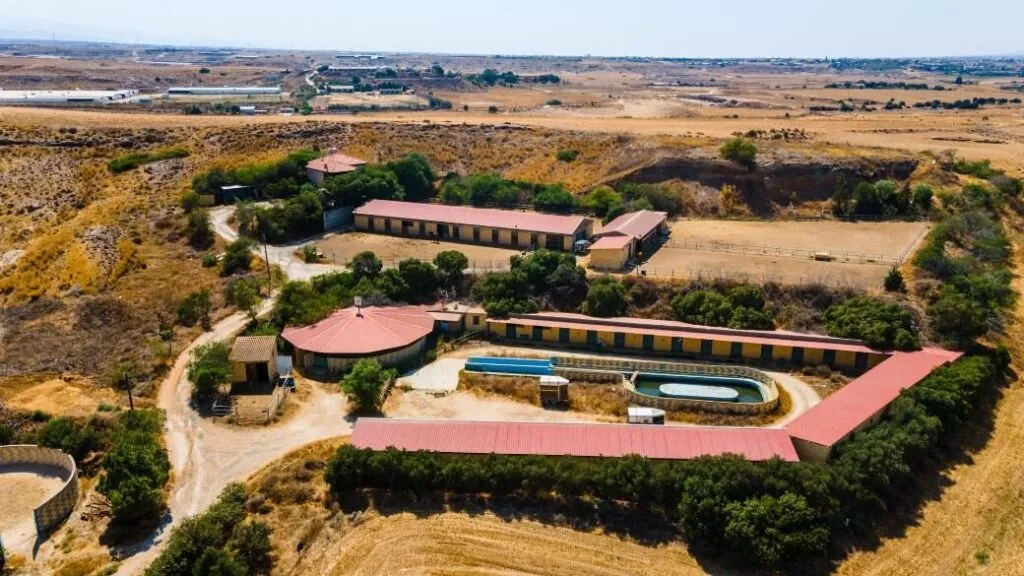 Fields with a horse farm in Pano Deftera, Nicosia — photo 5