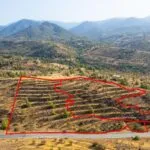 Fields in Agia Marina Xyliatou, Nicosia — Nicosia, Agia Marina Xyliatou (2)