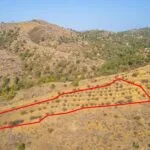 Field in Agia Marina Xyliatou, Nicosia — Nicosia, Agia Marina Xyliatou
