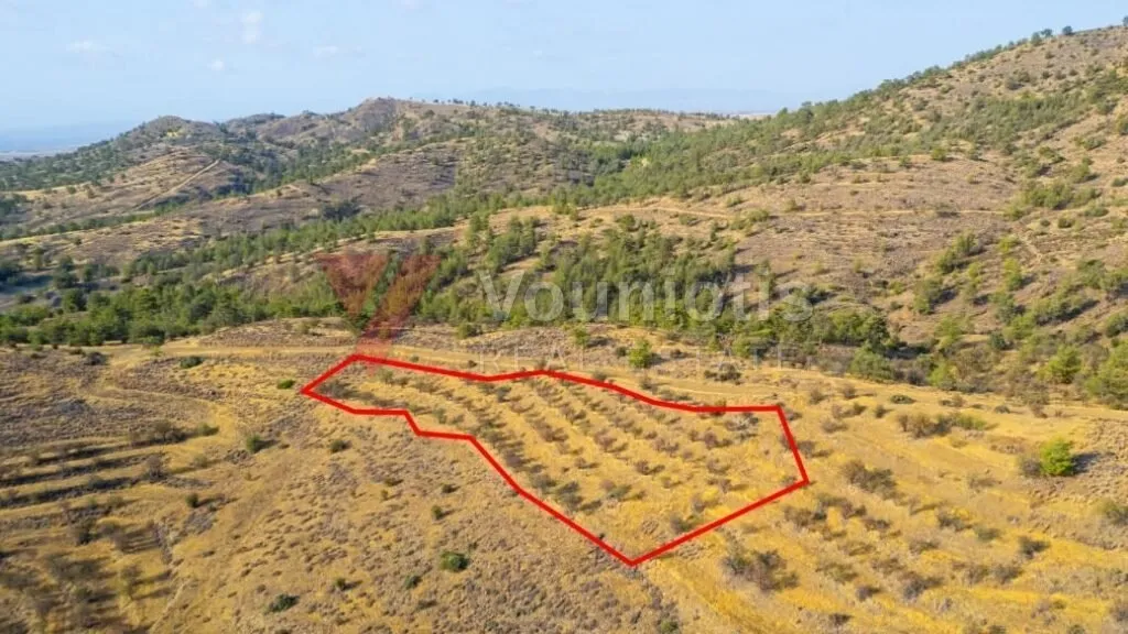 Field in Agia Marina Xyliatou, Nicosia — photo 2
