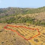 Field in Agia Marina Xyliatou, Nicosia — Nicosia, Agia Marina Xyliatou (2)