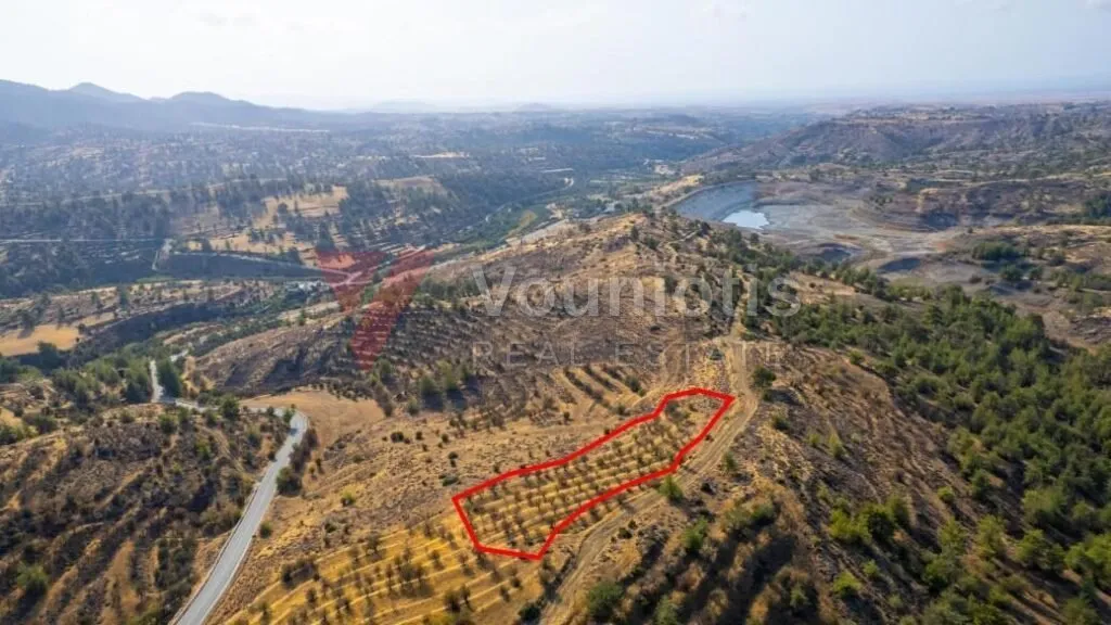 Field in Agia Marina Xyliatou, Nicosia — photo 4