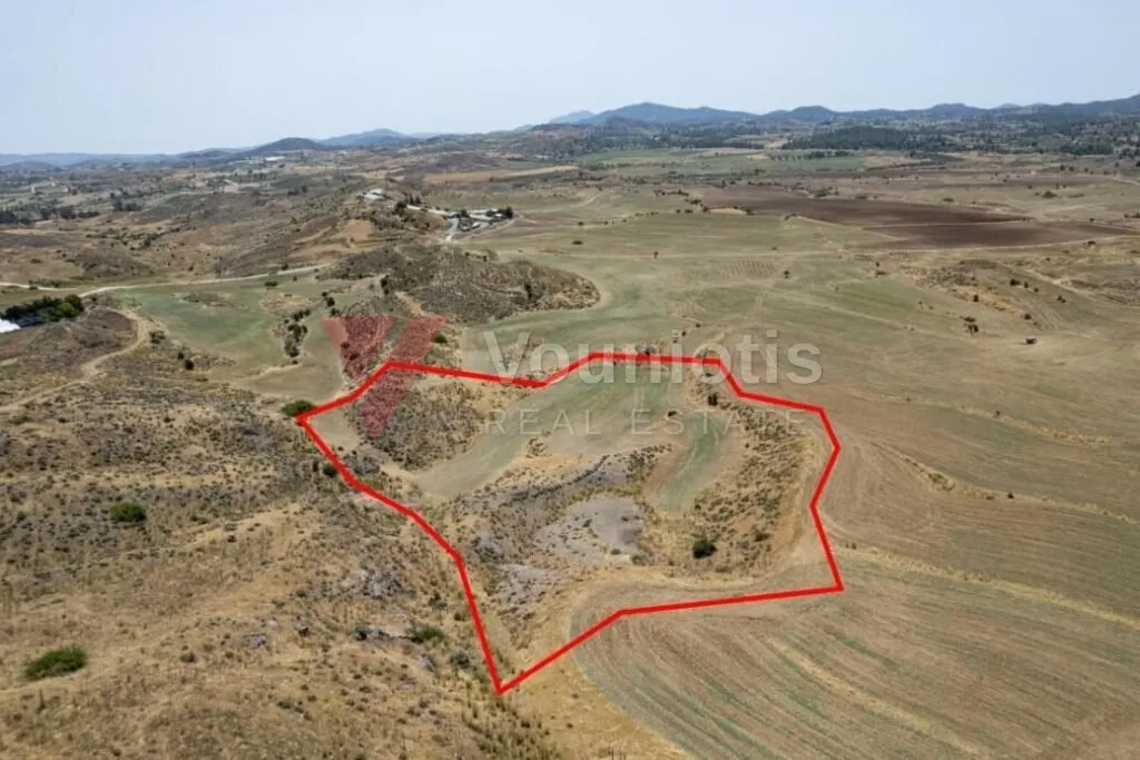 Agricultural field in Agia Varvara, Nicosia — photo 3