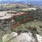 Shared fields in Agios Dimitrianos, Paphos — Paphos, Agios Dimitrianos (2)