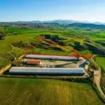 Agricultural field in Agios Ioannis, Nicosia — Nicosia, Agios Ioannis (3)
