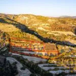 Three agricultural fields in Amargeti, Paphos — Paphos, Amargeti (2)