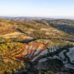 Three agricultural fields in Amargeti, Paphos — Paphos, Amargeti (3)