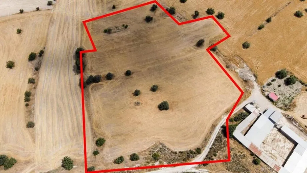 Shared residential field in Anglisides, Larnaca — photo 3