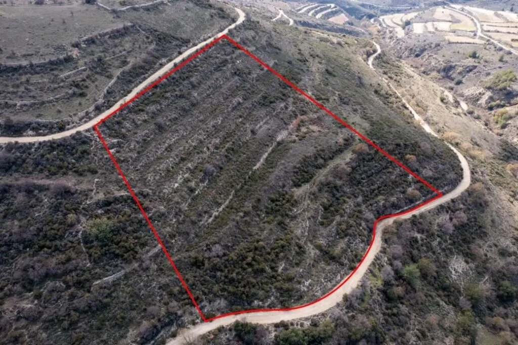 Field in Arsos, Limassol — photo 2