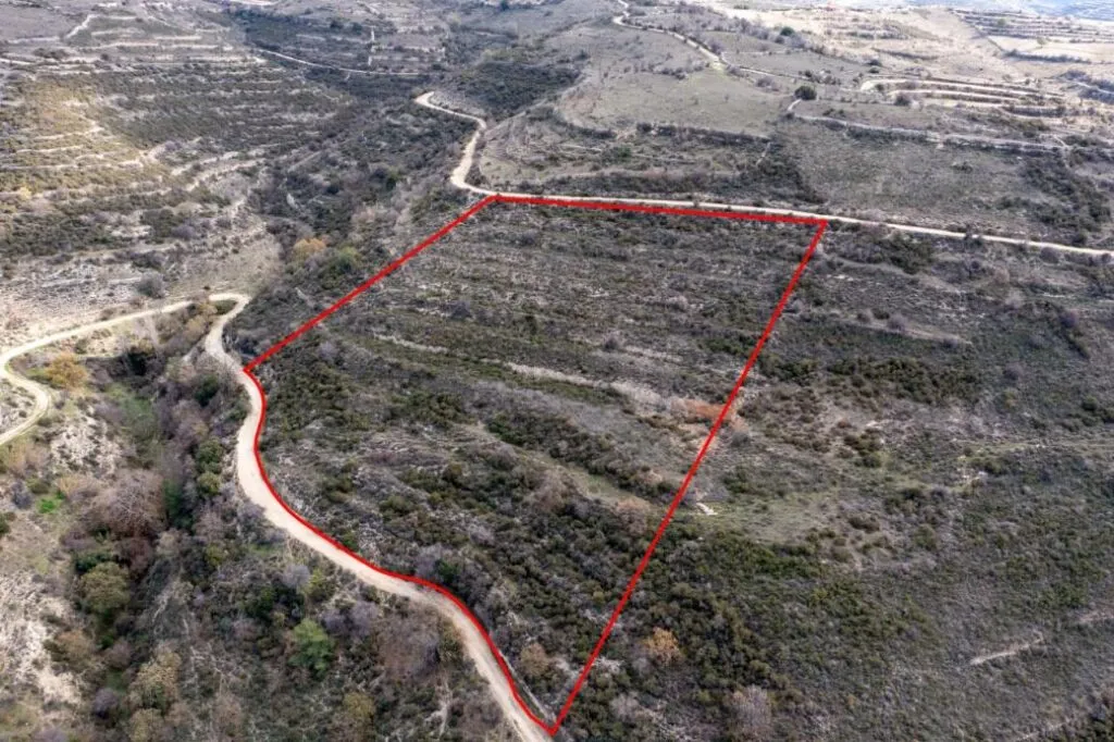 Field in Arsos, Limassol — photo 3