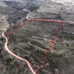 Field in Arsos, Limassol — Limassol, Arsos (3)