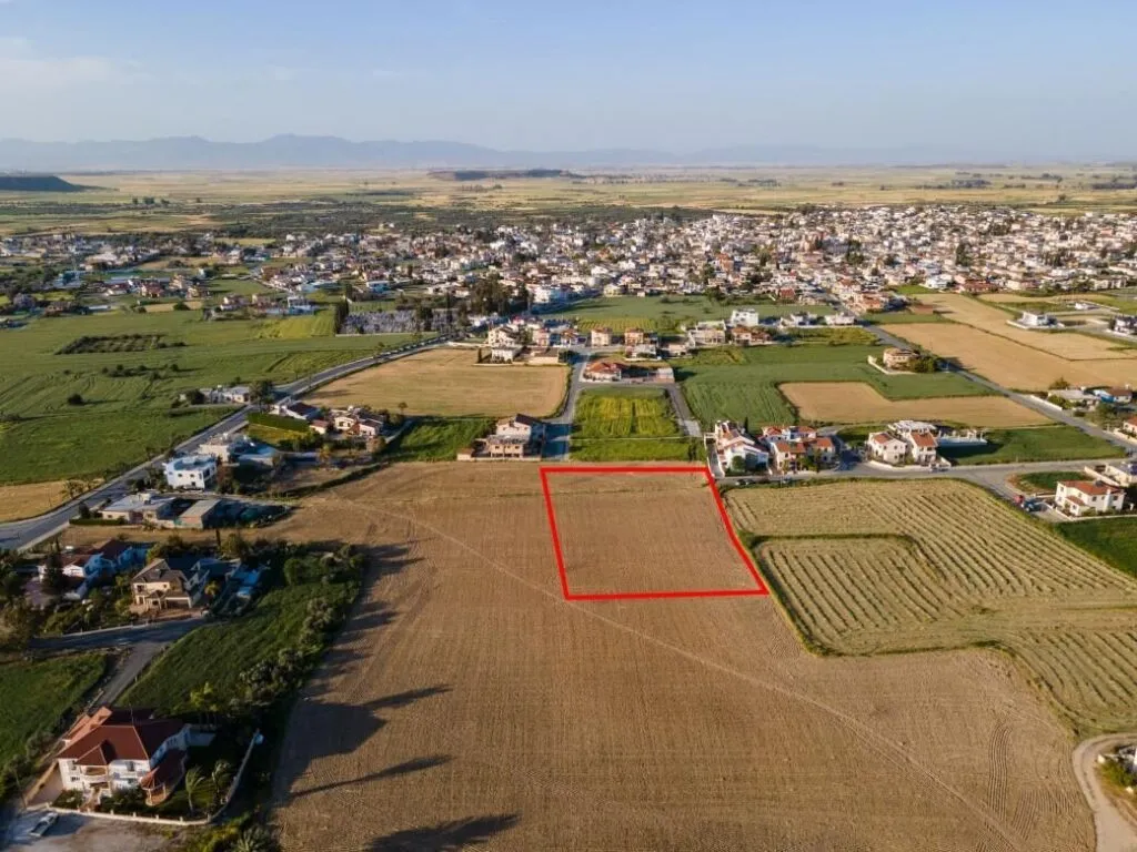 Shared residential field in Athienou, Larnaca — photo 4