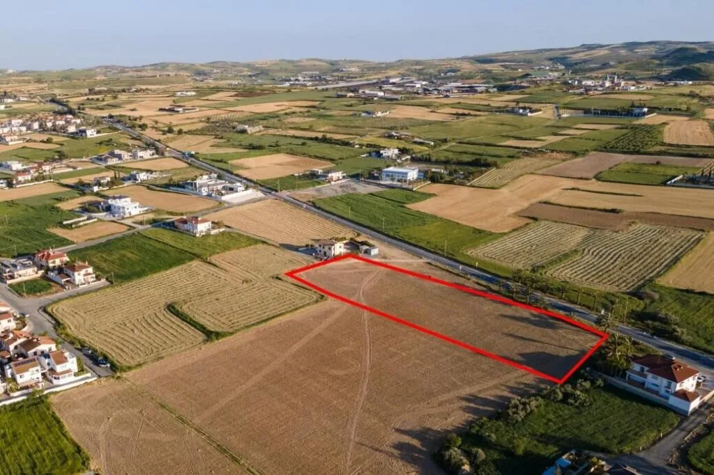 Shared residential field in Athienou, Larnaca — photo 2