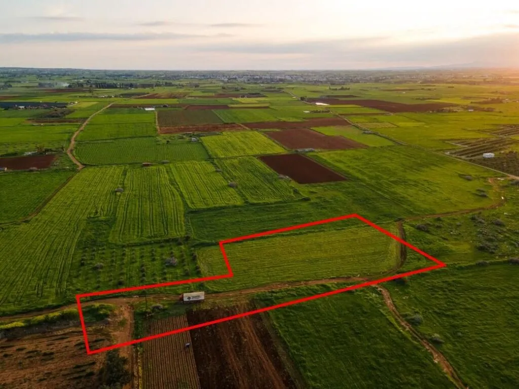 Agricultural field in Avgorou, Famagusta — photo 2