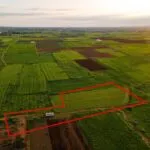 Agricultural field in Avgorou, Famagusta — Famagusta, Avgorou (2)