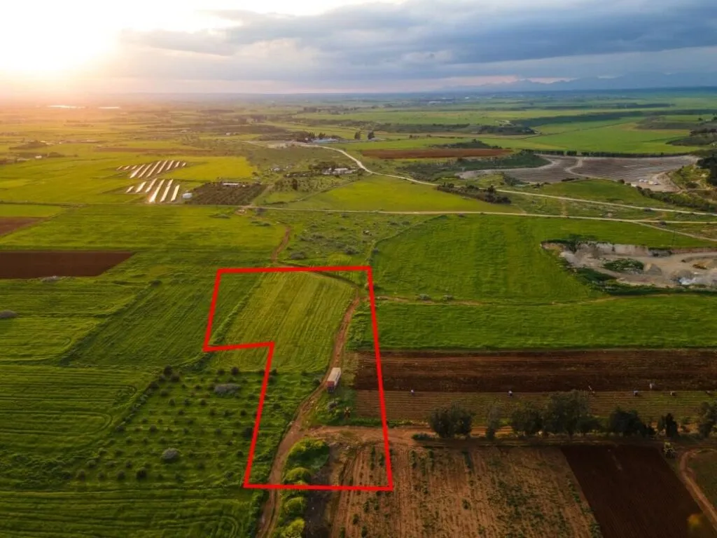 Agricultural field in Avgorou, Famagusta — photo 3