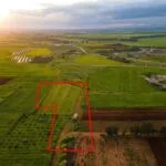 Agricultural field in Avgorou, Famagusta — Famagusta, Avgorou (3)