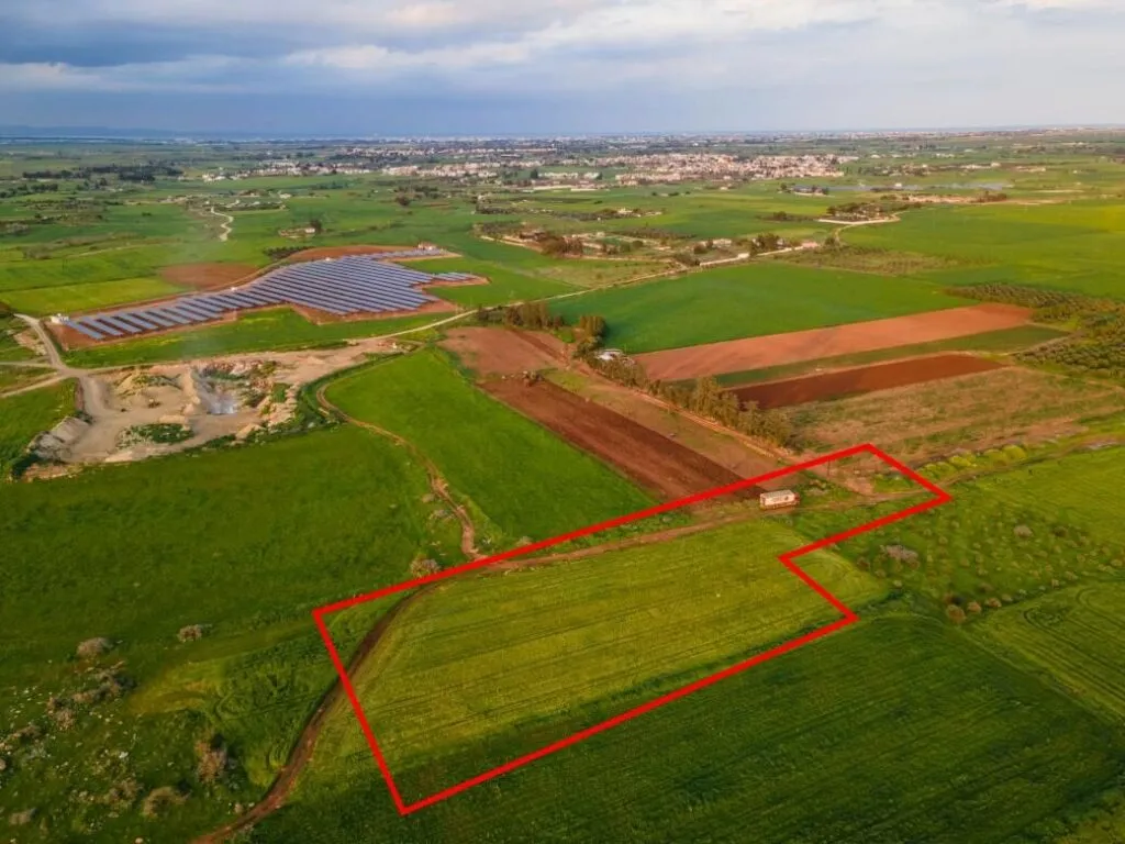 Agricultural field in Avgorou, Famagusta — photo 4