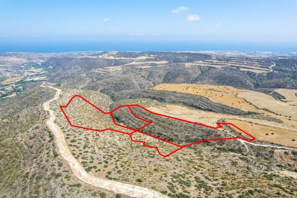 שדות בצ'וירוקויטיה, לרנקה - תמונה 3