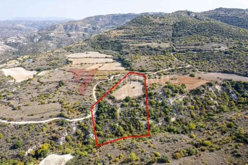 Field in Dora, Limassol — photo 2
