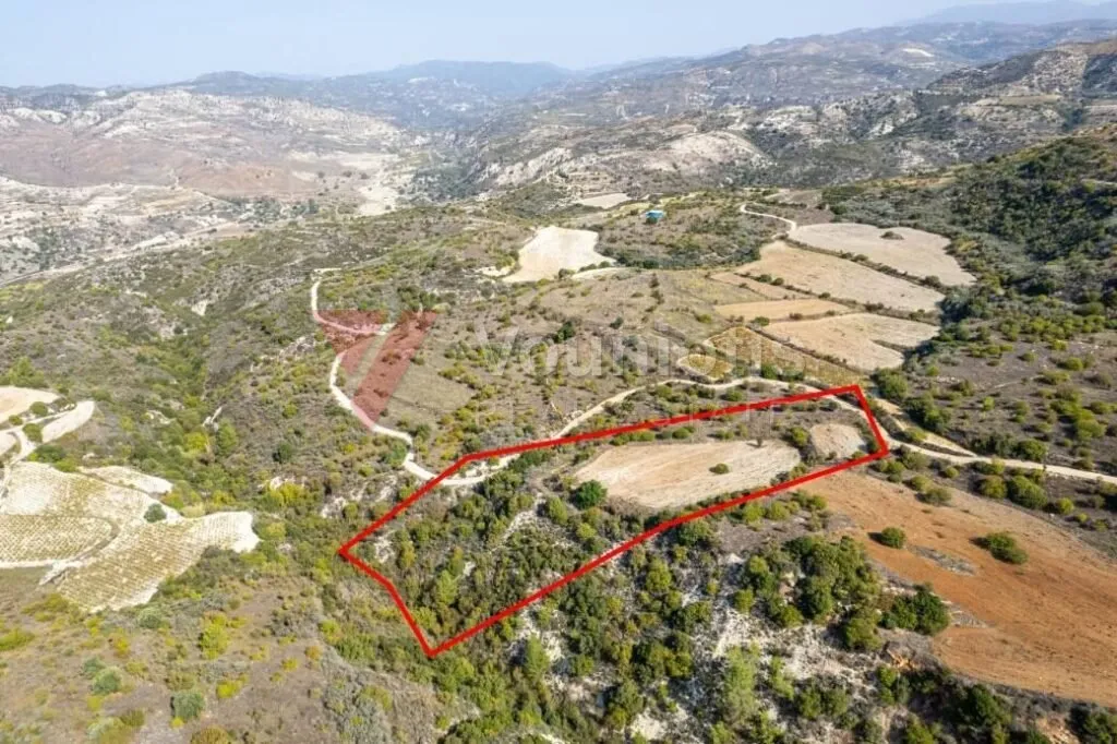 Field in Dora, Limassol — photo 3