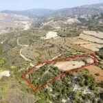 Field in Dora, Limassol — Limassol, Dora (3)