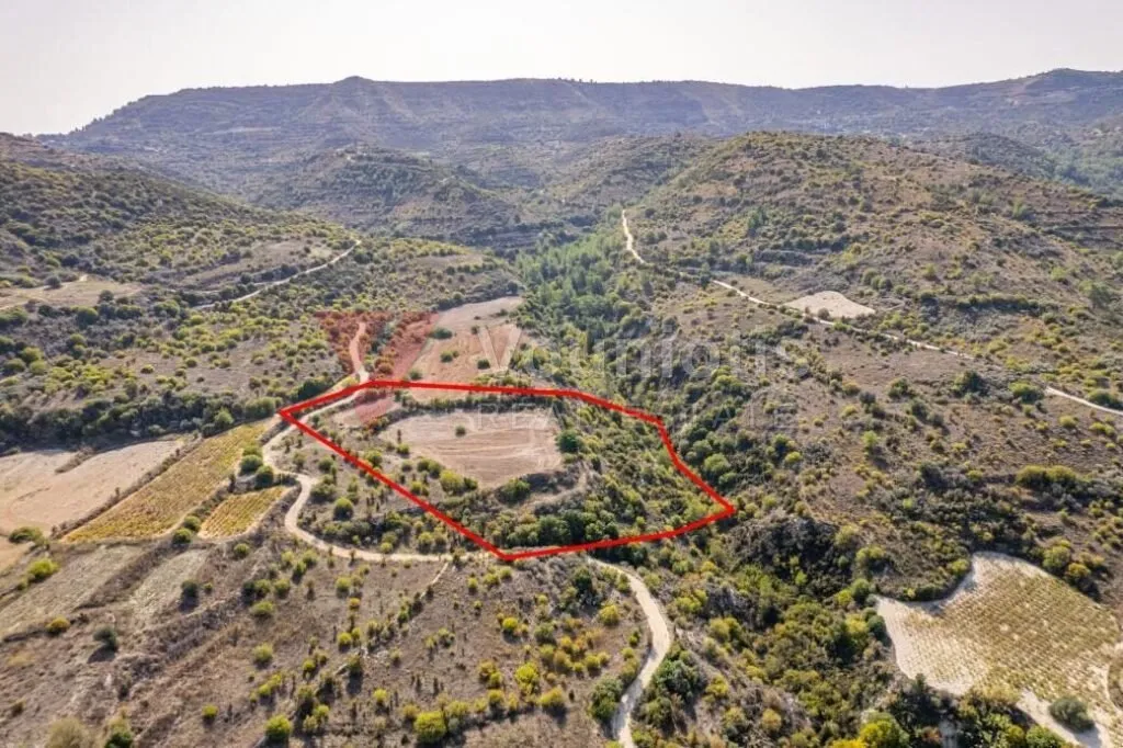 Field in Dora, Limassol — photo 4