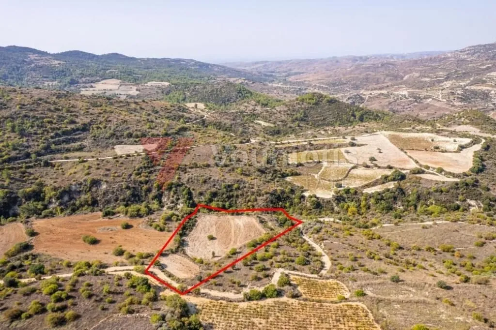 Field in Dora, Limassol — photo 5