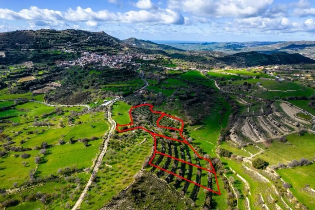 Residential fields in Dora, Limassol — photo 2