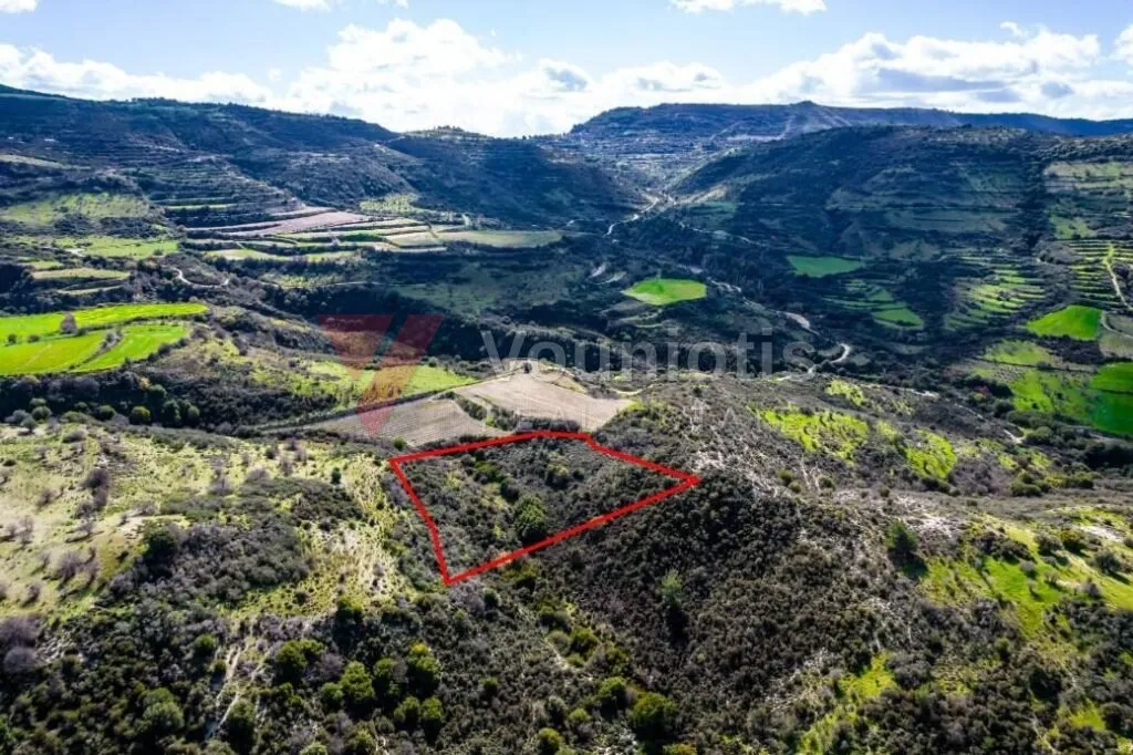 Field in Dora, Limassol — photo 4