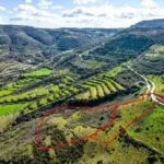 Fields in Dora, Limassol — Limassol, Dora (2)
