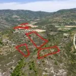 Fields in Dora, Limassol — Limassol, Dora