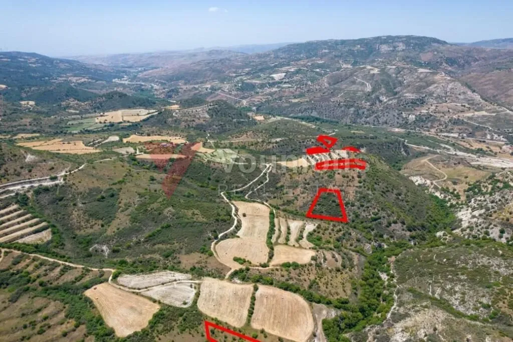 Fields in Dora, Limassol — photo 3