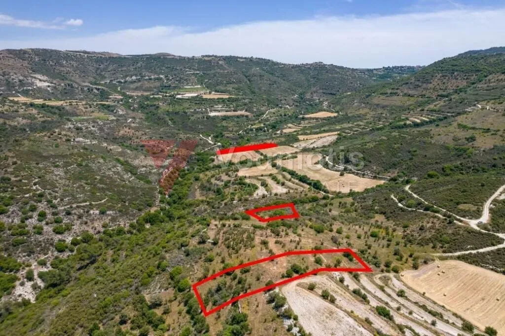 Fields in Dora, Limassol — photo 4