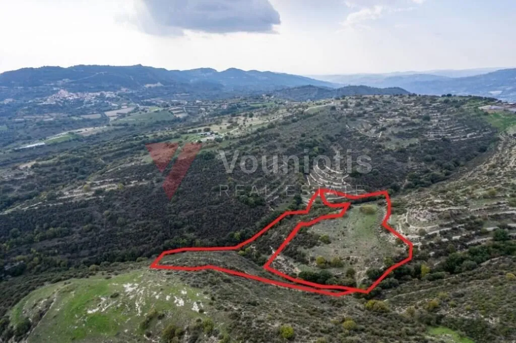 Fields in Dora, Limassol — photo 3