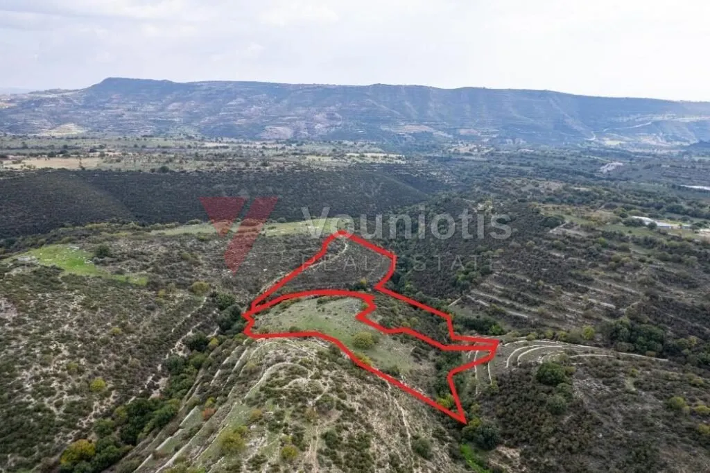 Fields in Dora, Limassol — photo 4