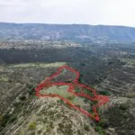 Fields in Dora, Limassol — Limassol, Dora (4)