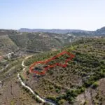 Field in Dora, Limassol — Limassol, Dora