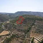 Field in Dora, Limassol — Limassol, Dora (2)