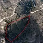 Field in Dora, Limassol — Limassol, Dora (3)