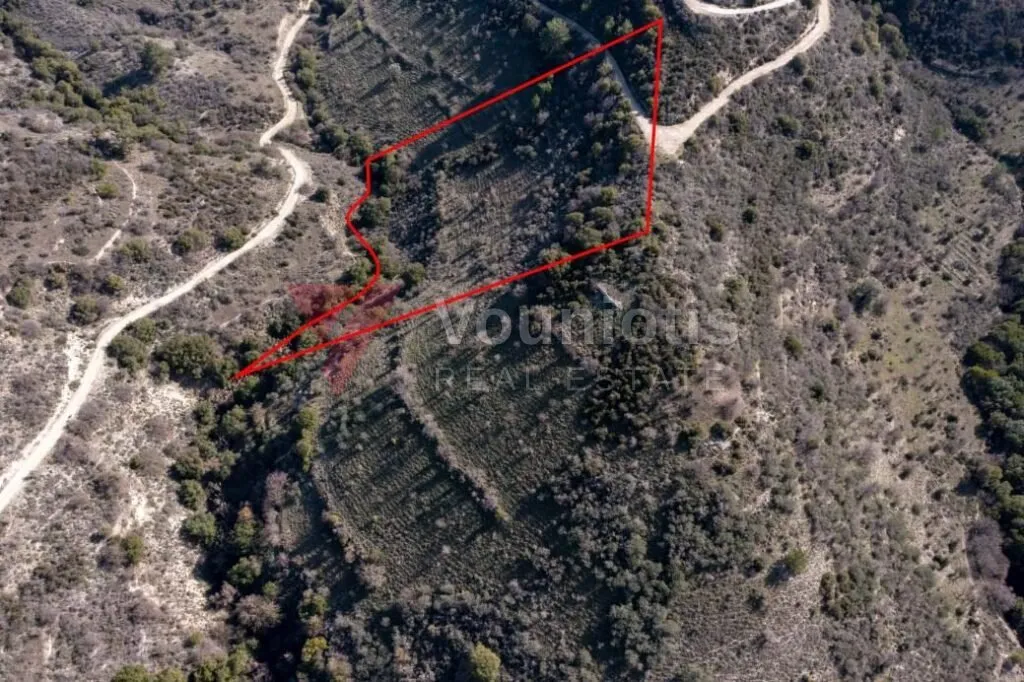 Χωράφι στη Ντόρα, Λεμεσός — φωτογραφία 3